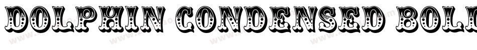 Dolphin Condensed Bold字体转换